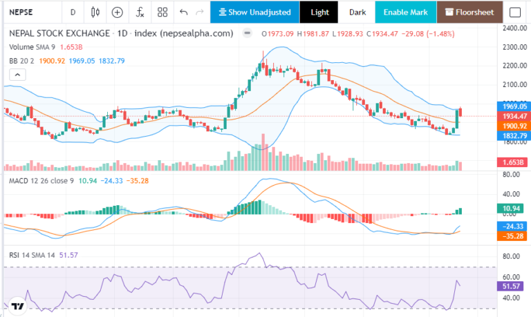 नेप्से बिस्लेषण