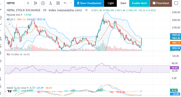 सुधारियो नेप्से , नेप्से बिस्लेषण