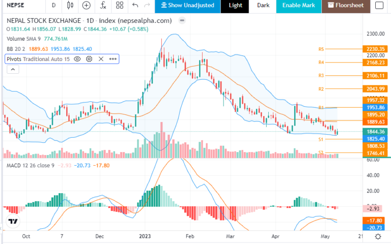 नेप्सेमा आज हरियाली , के बजार माथि जाला ?