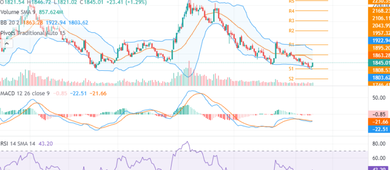 नेप्सेमा आज हरियाली , के होला अब बजार ?