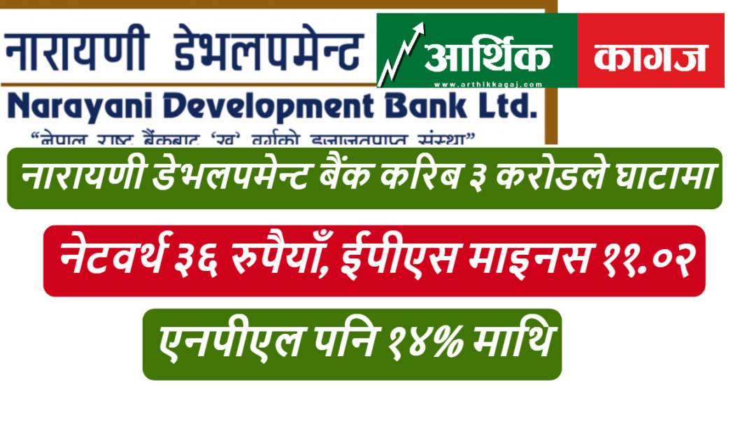 narayani development bank