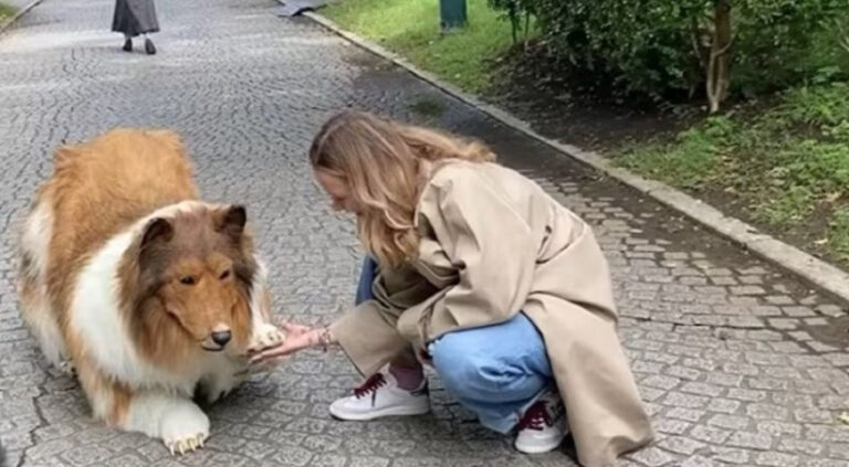 मान्छेबाट कुकुर बने यी युवक, मानिसले जस्तै खान छाडे, खोरमा बस्न थले