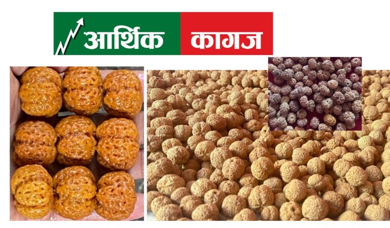 चाईनिज रुद्राक्ष व्यवसायीलाई गाउ गाउ डुलेर रुद्राक्ष खरिद गर्न रोक