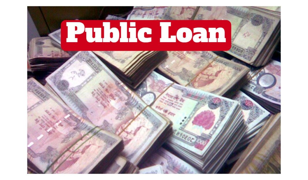 public loan