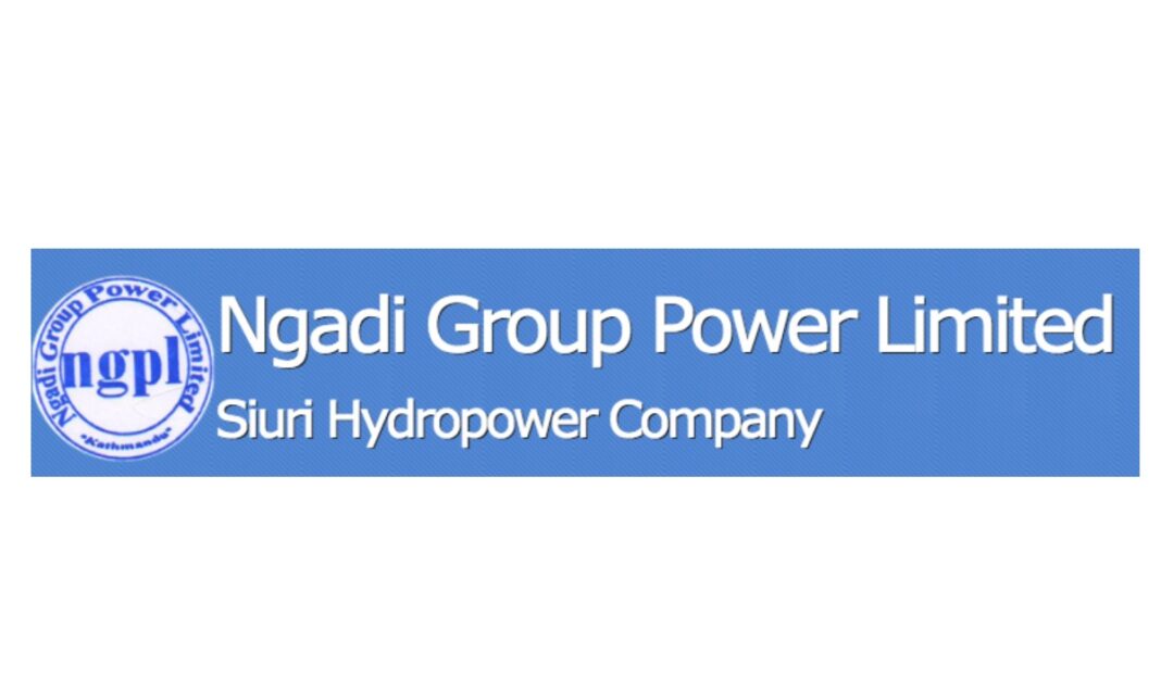 nyadi group power