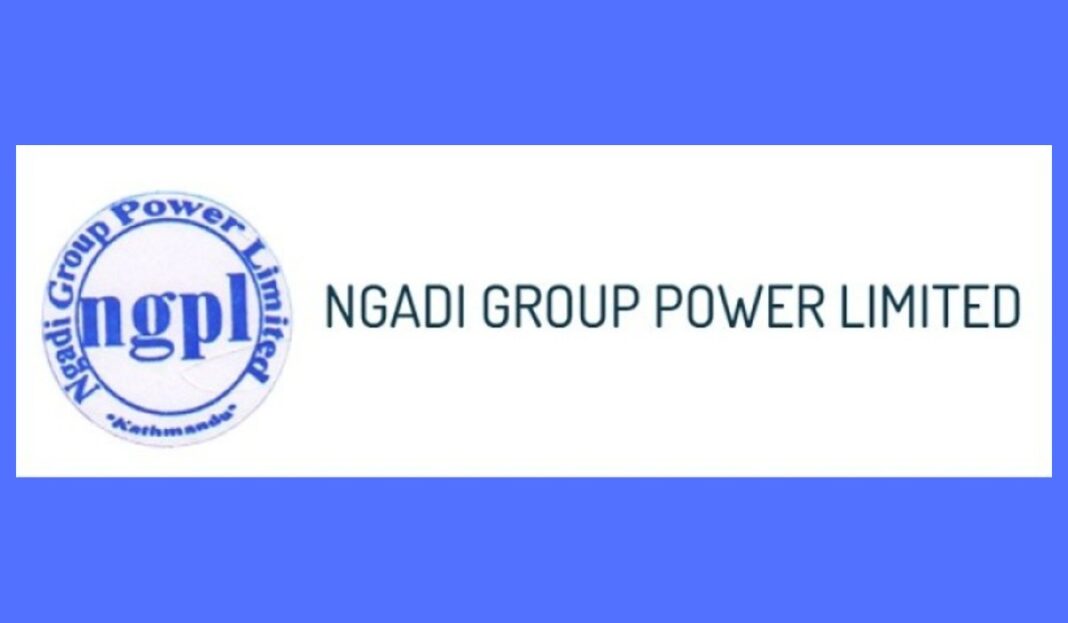 nyadi group power