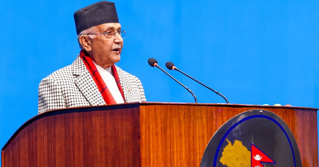 kp oli